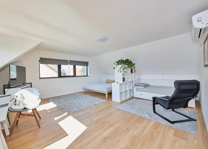 Apartament Mihelyuenk